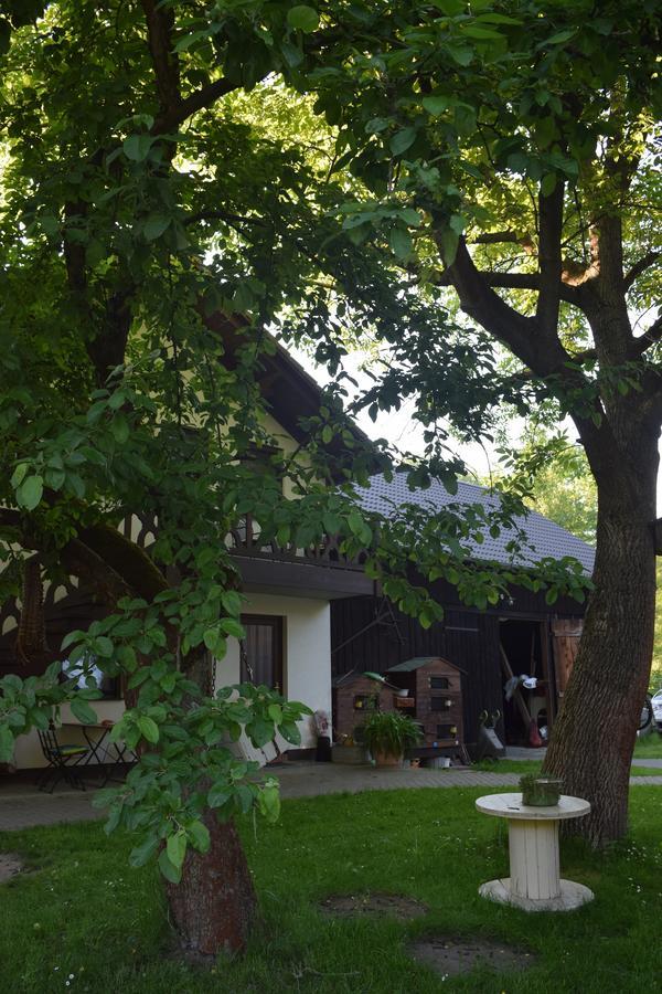 Gaestehaus Bohg Burg (Spreewald) Exterior foto